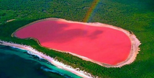 pink lake