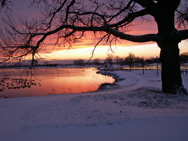 Cold Swim