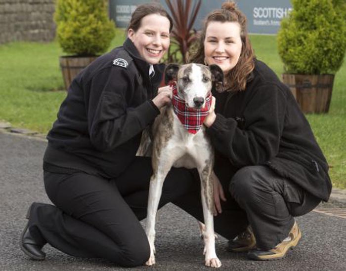 ScottishSPCA:For details see press releasePic Peter Devlin