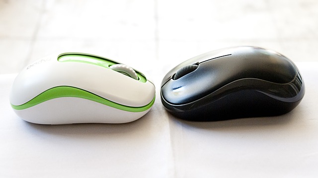 Computer Mouse