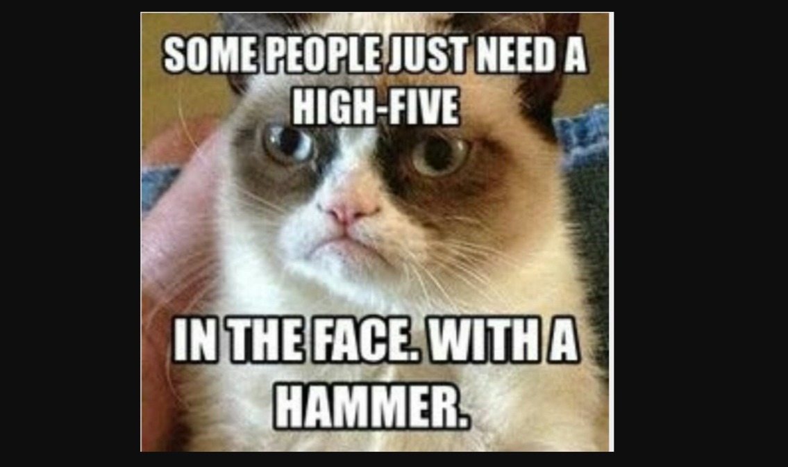 Grumpy Cat meme