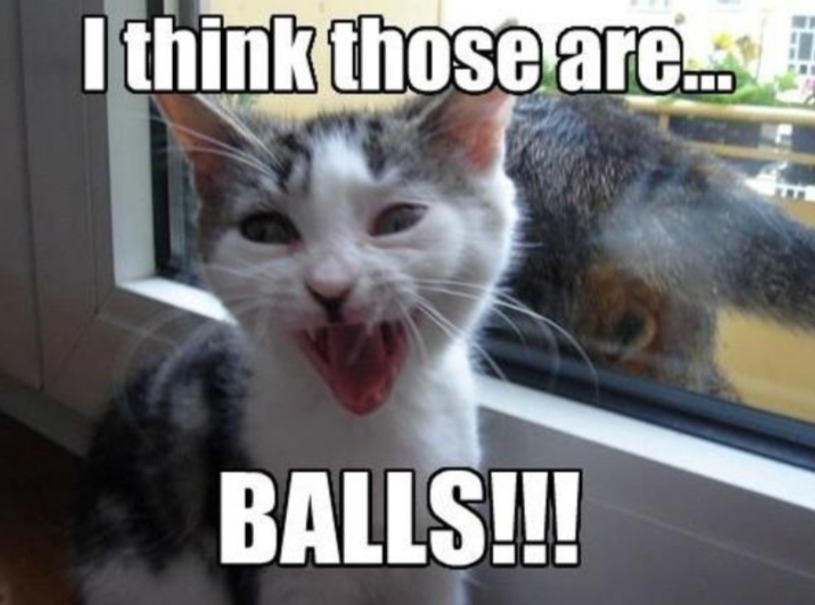 LOLcats