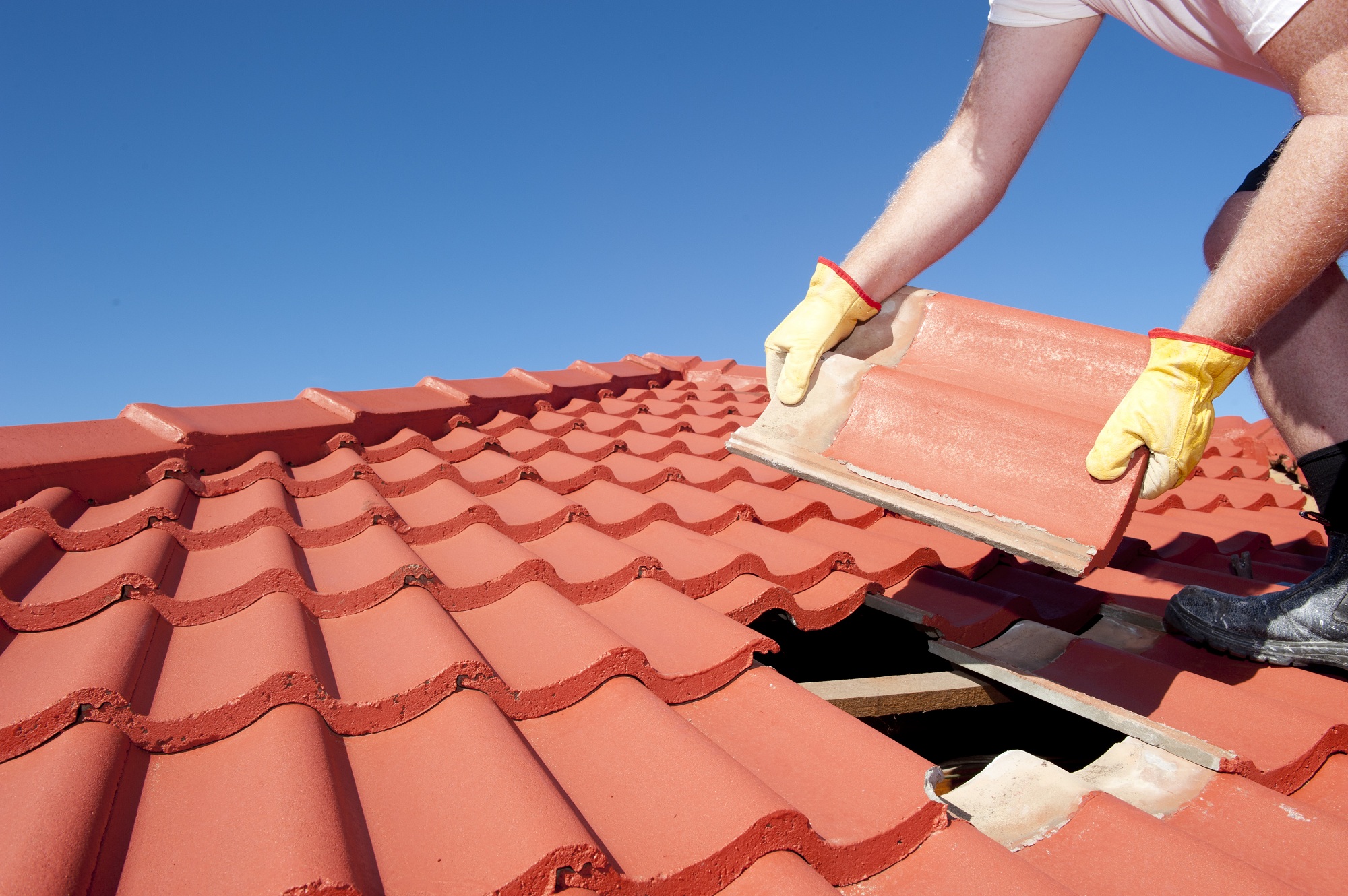roof-shingles-renovation.jpg
