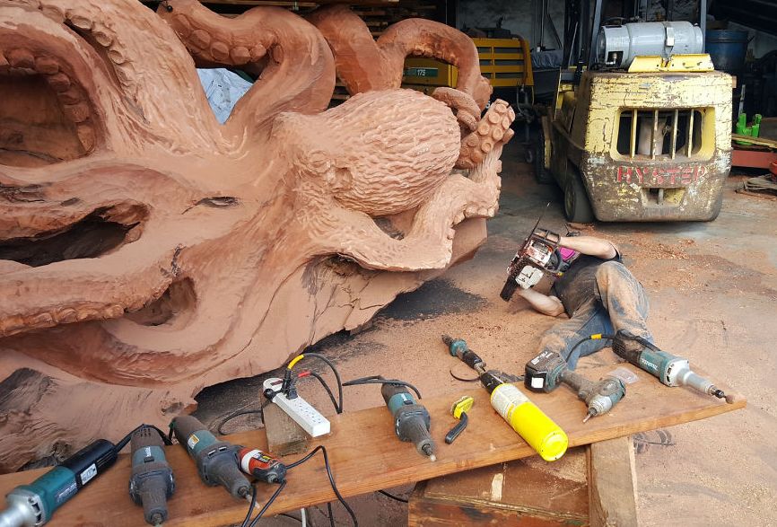 Fallen Redwood turns into Giant Sea Octopus art