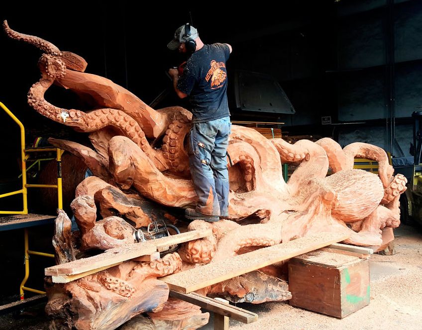 Fallen Redwood turns into Giant Sea Octopus art