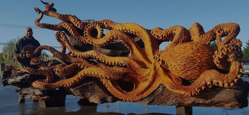 Fallen Redwood turns into Giant Sea Octopus art