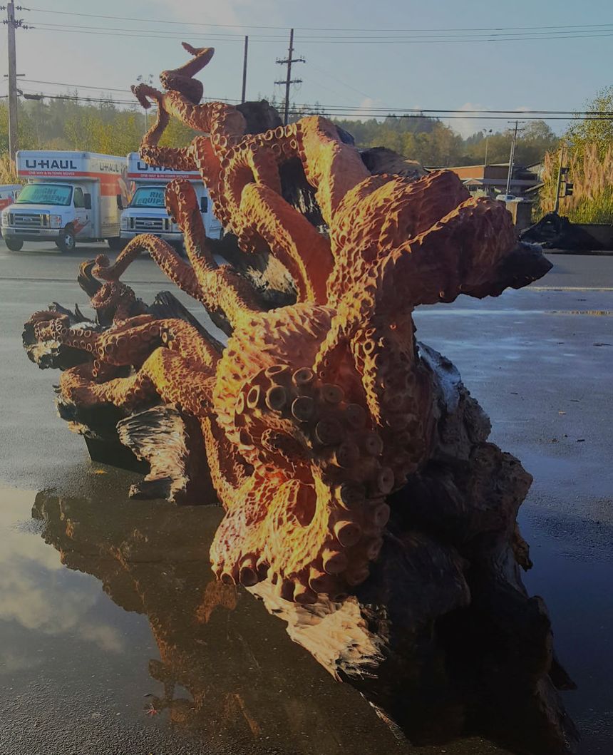 Fallen Redwood turns into Giant Sea Octopus art