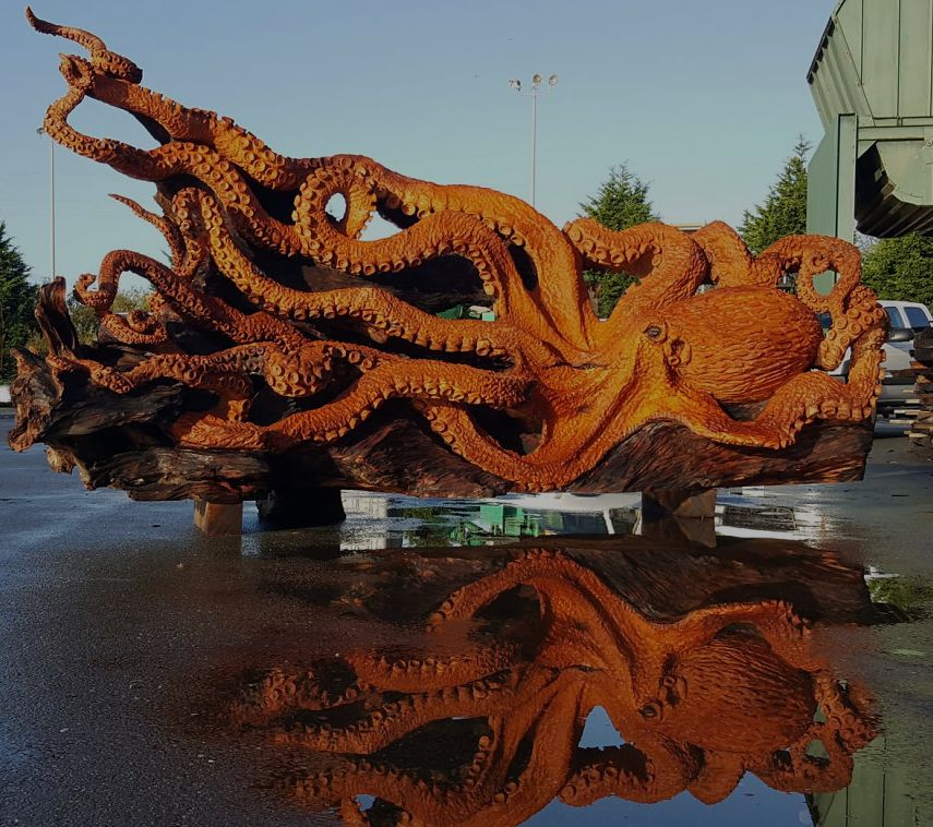 Fallen Redwood turns into Giant Sea Octopus art