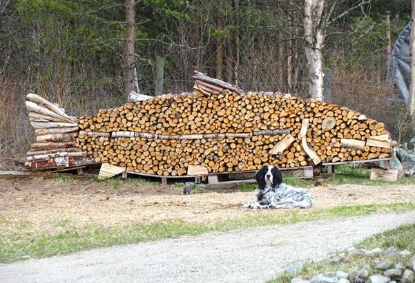 log and wood piling - wood art, works of art