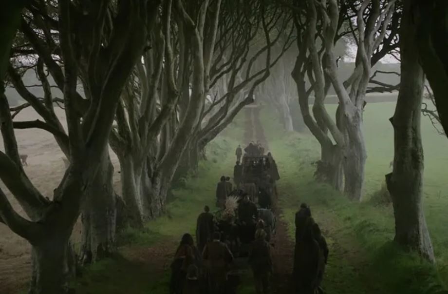 Dark Hedges, Northern Ireland - Game Of Thrones Film Locations