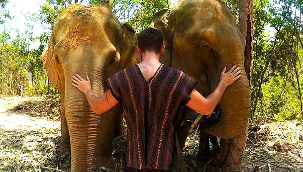 selfie with elephant goes viral