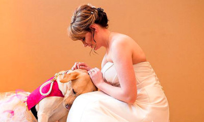 viral photo of service dog comforting bride 1