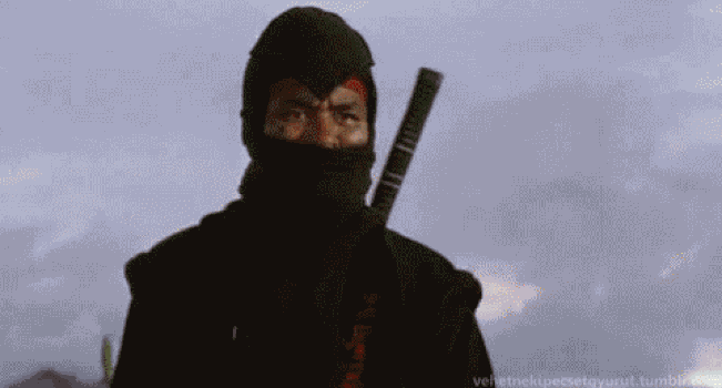 NINJA-laser.gif