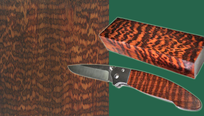 Snakewood - Brosimum guianense - wood species