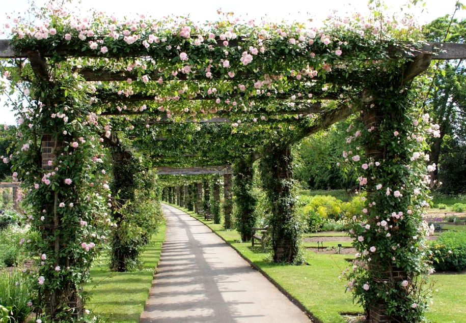 Pergola and Pavilion Design Ideas - Shade or Two to Your Pergola