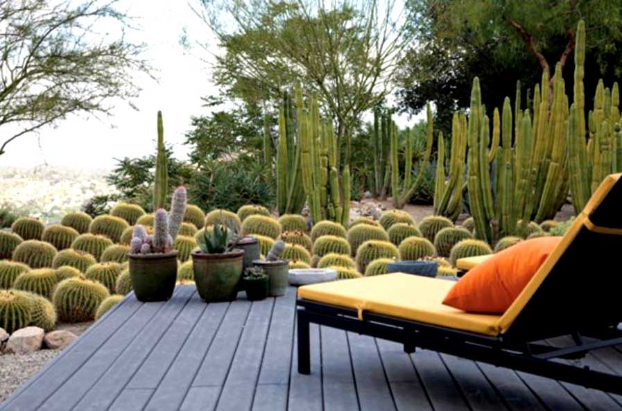 Creative Garden Decking Ideas - 2