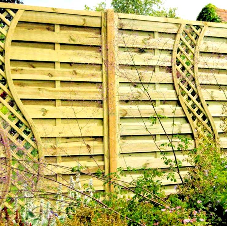 Backyard fencing ideas - Climbers Wall Fence 