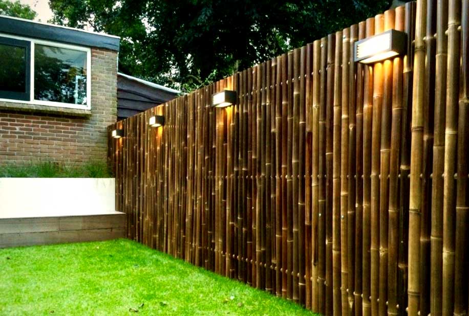 Backyard fencing ideas - Bamboo Fence 