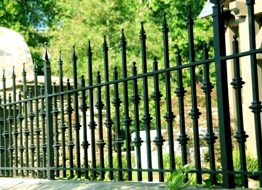 Backyard fencing ideas - Iron Fence 