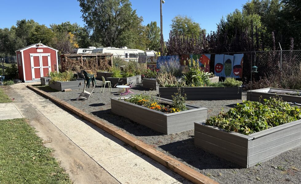 Soft Mulch Swap With Pea Gravel - Landscaping Rock Ideas