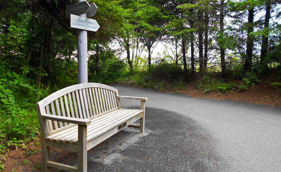 Crushed Stone Trails for High-Traffic Routes - Landscaping Rock Ideas