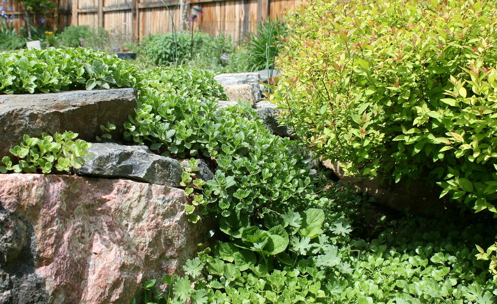 Low Stacked Walls for Terraced Slopes - Landscaping Rock Ideas