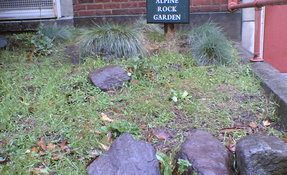 Alpine-Style Rock Gardens for Tough Spots - Landscaping Rock Ideas