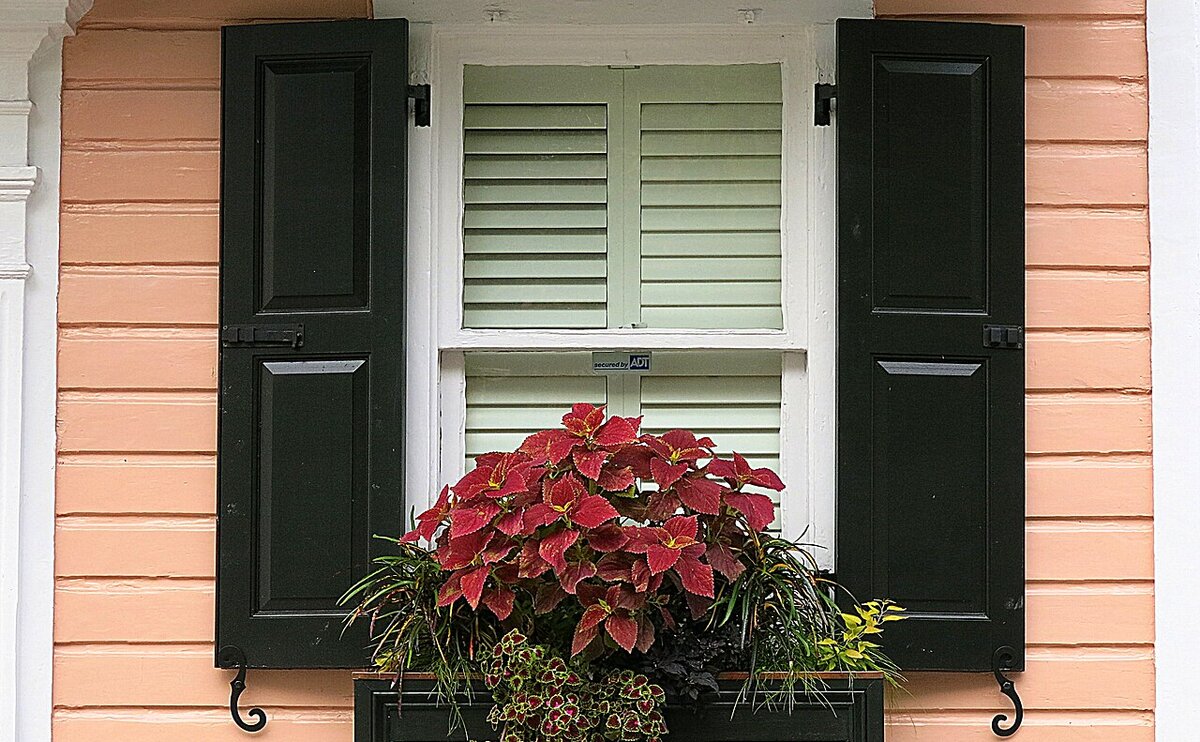 Window Boxes That Add Curb Appeal Safely