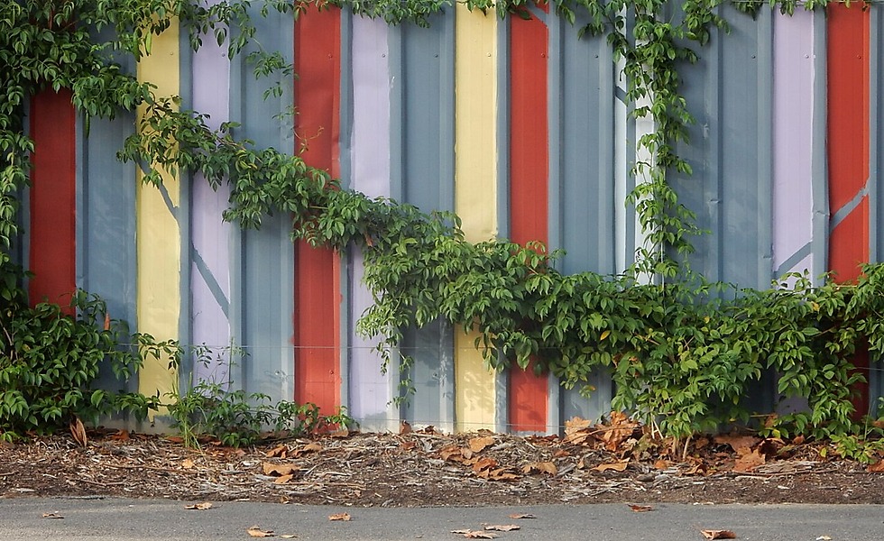Privacy Fence Basics Without Overbuilding
