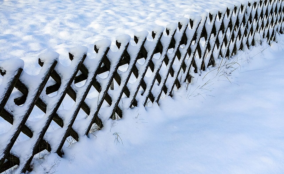 A Weekend Privacy Screen When a Full Fence Can Wait
