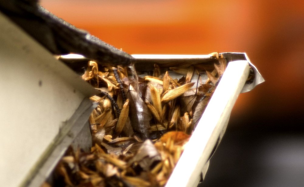 Autumn leaves piled in a roof gutter, showing when to clean gutters in late fall