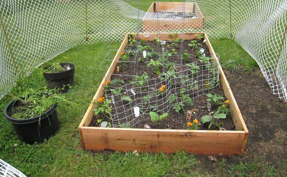 Scrap wood planter box with herbs in a sunny garden