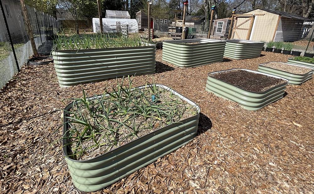 Galvanized Metal Beds for a Modern, Long-Lasting Look