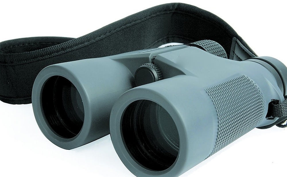 Safety First: Ground, Binoculars, and When Not to Climb