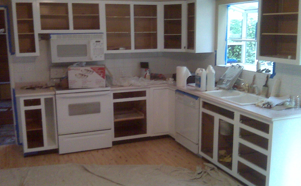 Painting Doors While They Are Still Hung