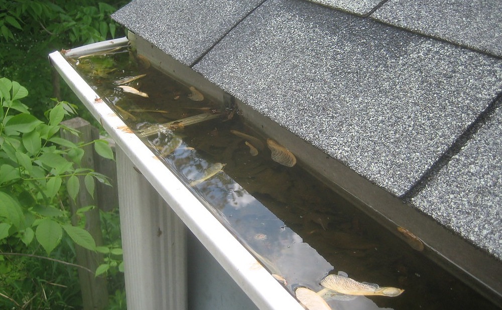 Gutters, Drip Edge, and Soft Fascia Warning Signs