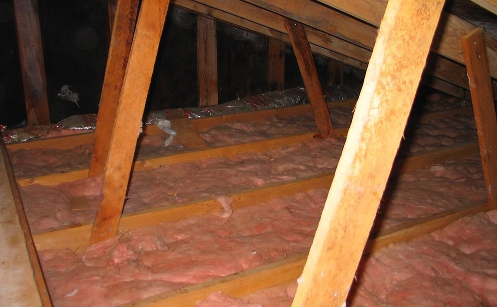Attic Clues: Daylight, Wet Insulation, and Musty Odors