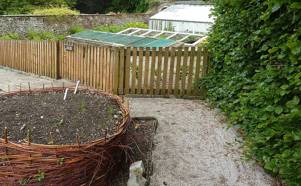 Deep Beds for Root Crops Like Carrots and Potatoes