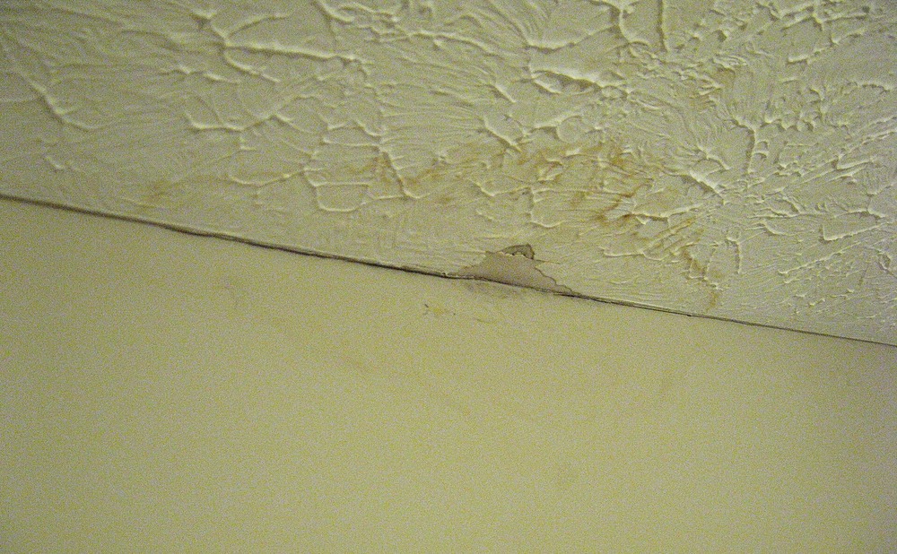 How to Spot a Roof Leak From Inside Without Guessing