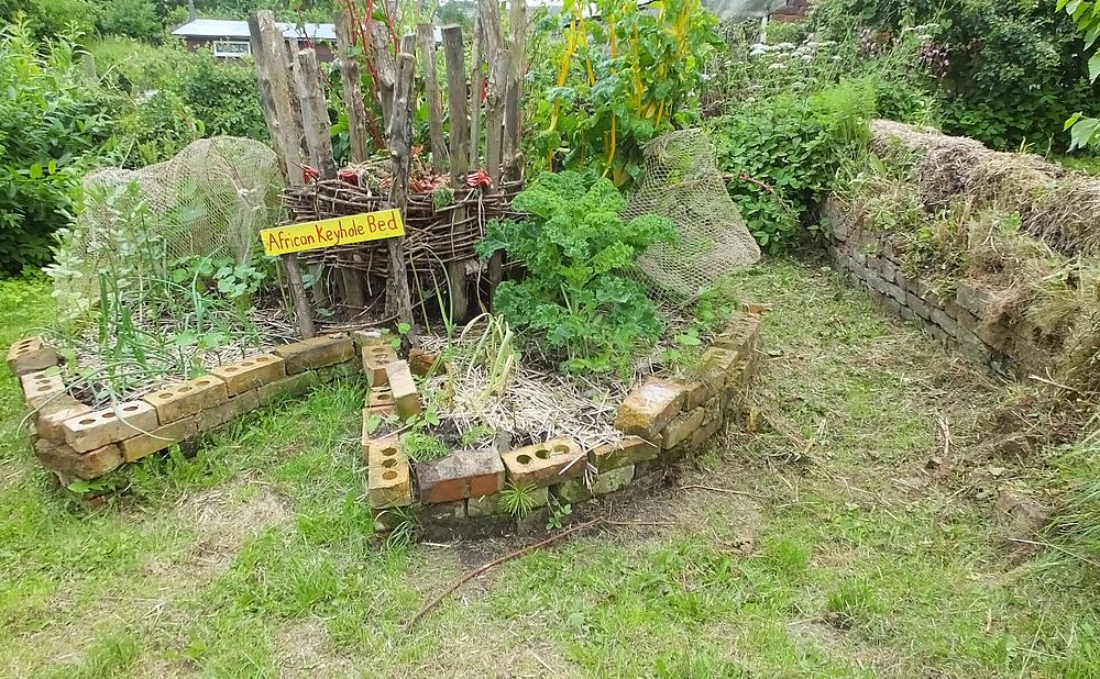 Keyhole Beds With a Built-In Compost Basket