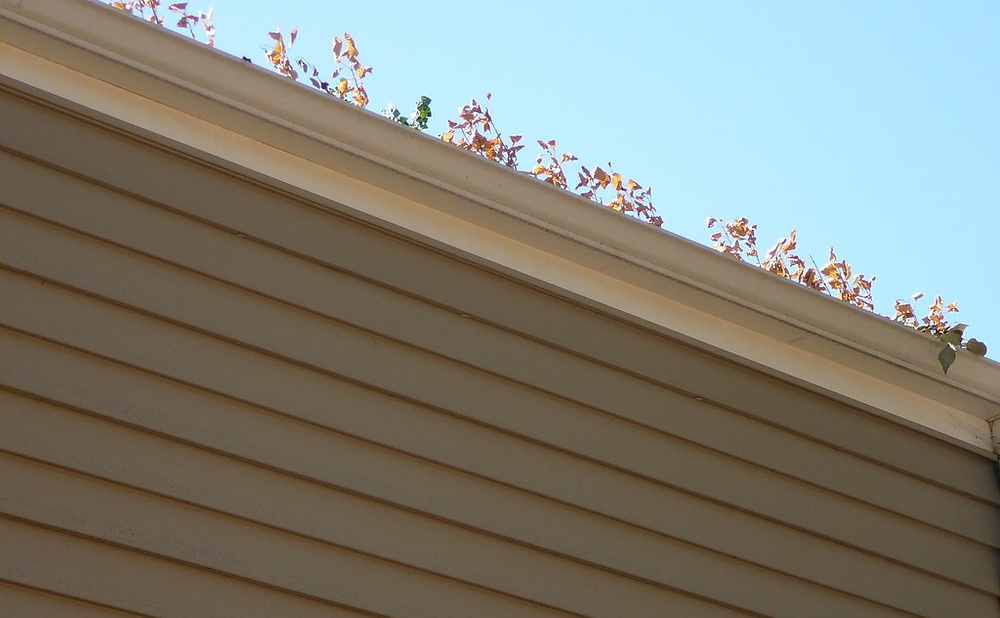 DIY Fixes You Can Do vs Repairs That Can Void Your Warranty