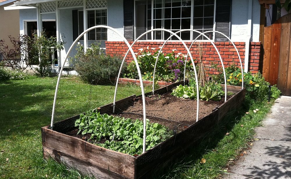 Hoop-Covered Beds That Stretch the Growing Season