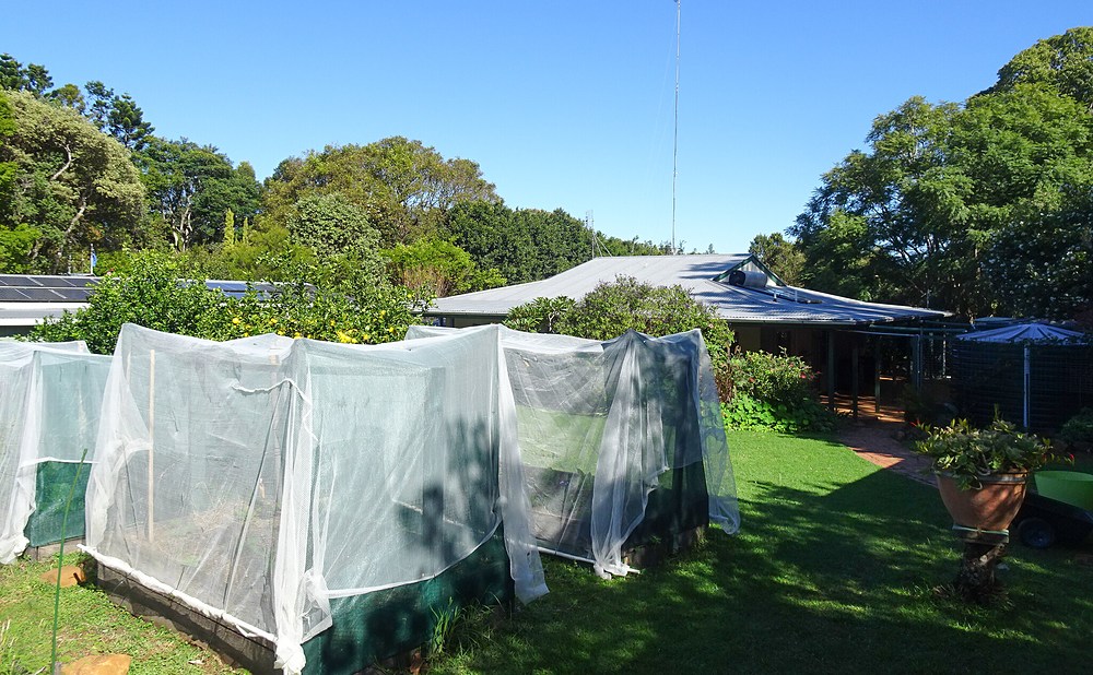 Critter-Proof Beds With Hardware Cloth and Trellis Panels