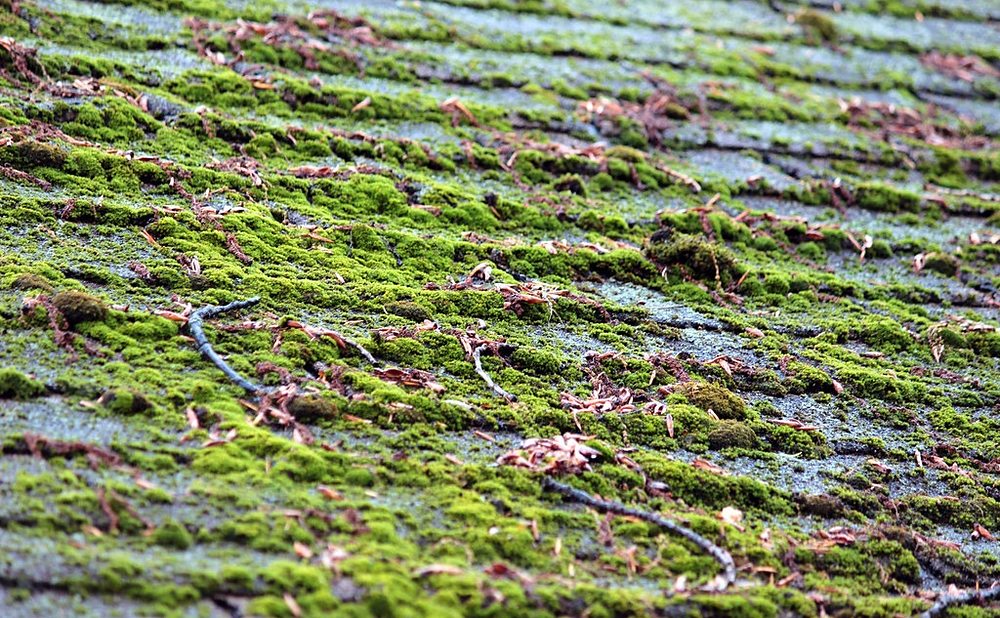 Signs You Need a New Roof (Not Just a Patch)